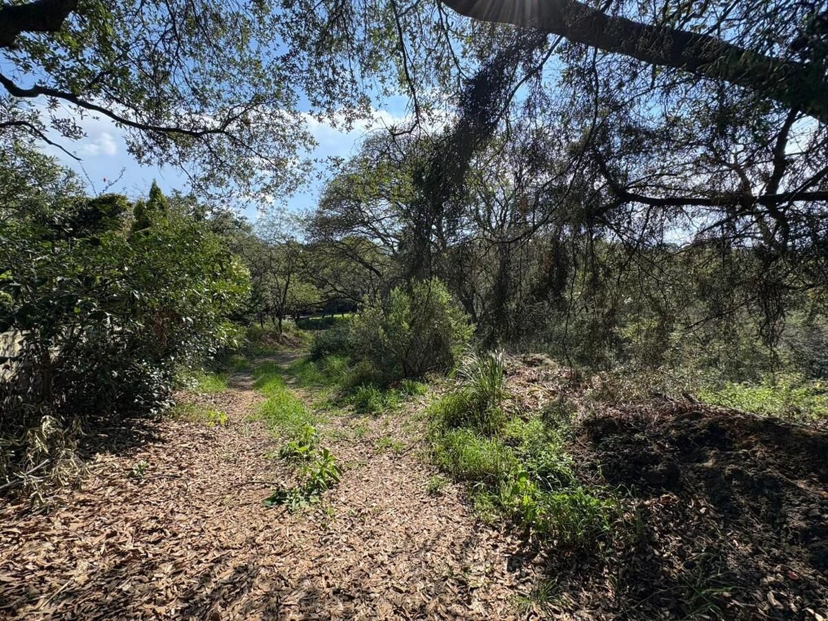 Terreno en VENTA, suelo Habitacional ubicación Valle Escondido Cod. VTE798 - foto 3