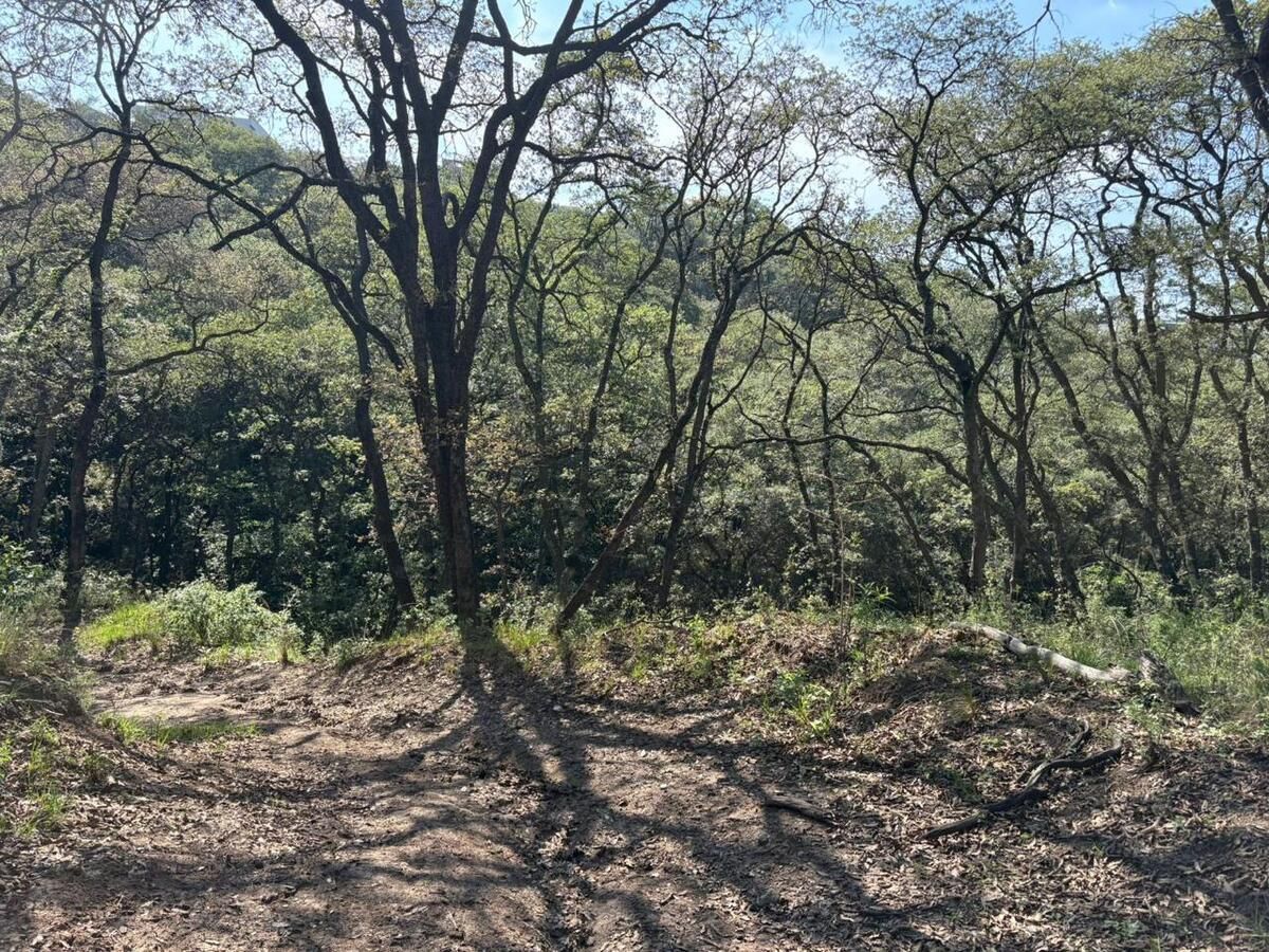 Terreno en VENTA, suelo Habitacional ubicación Valle Escondido Cod. VTE798 - foto 4