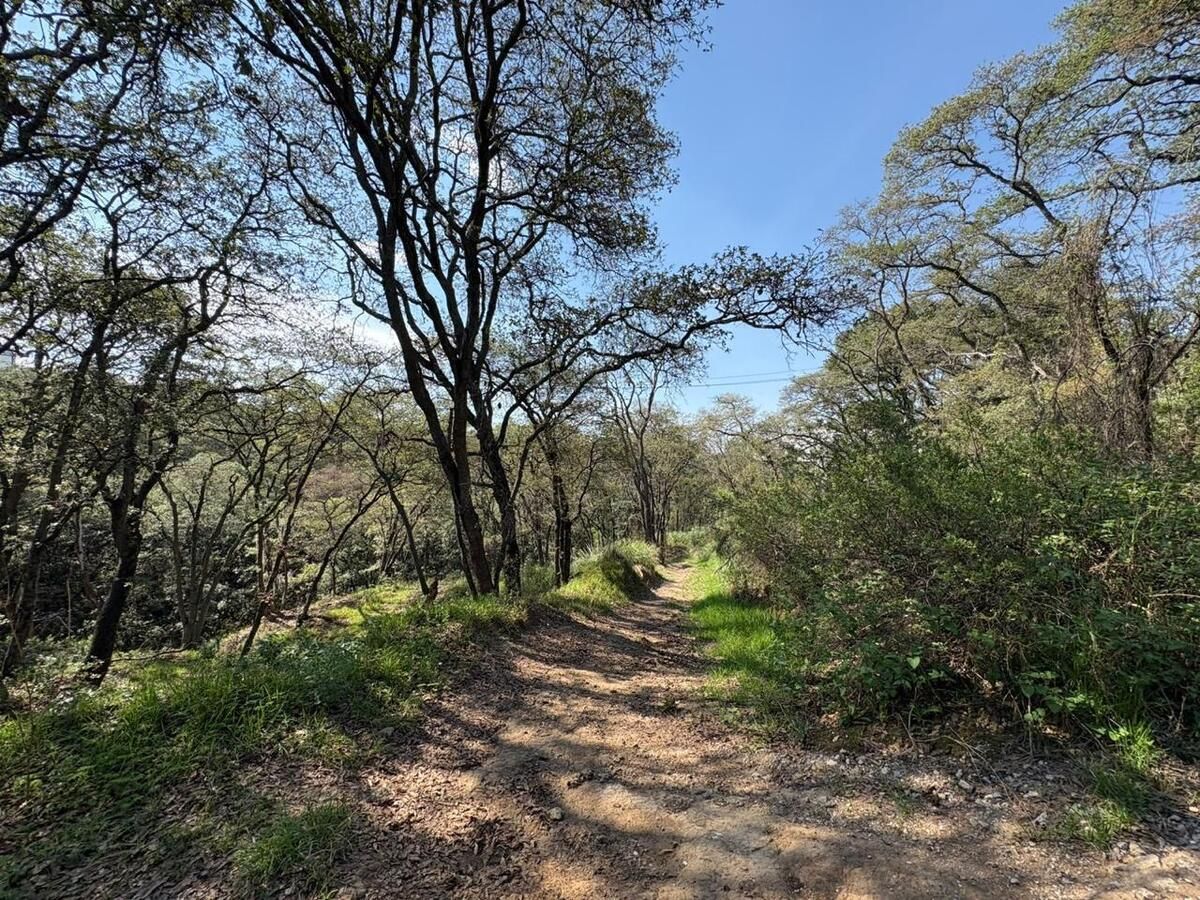 Terreno en VENTA, suelo Habitacional ubicación Valle Escondido Cod. VTE798 - foto 5