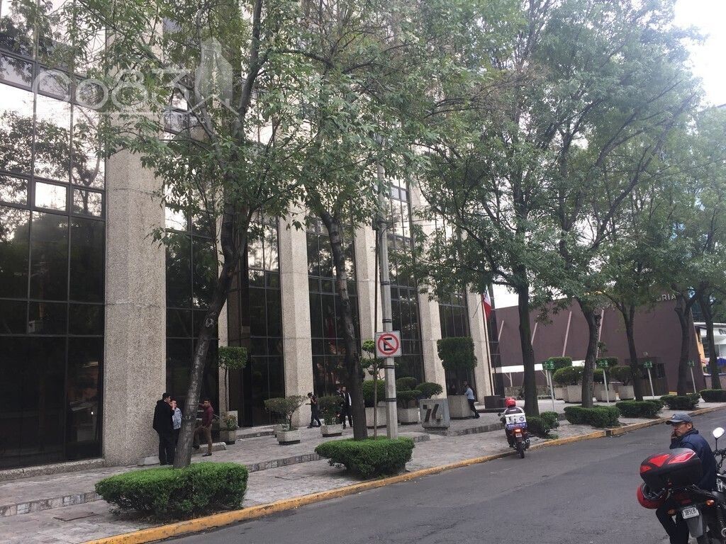 11 de 12