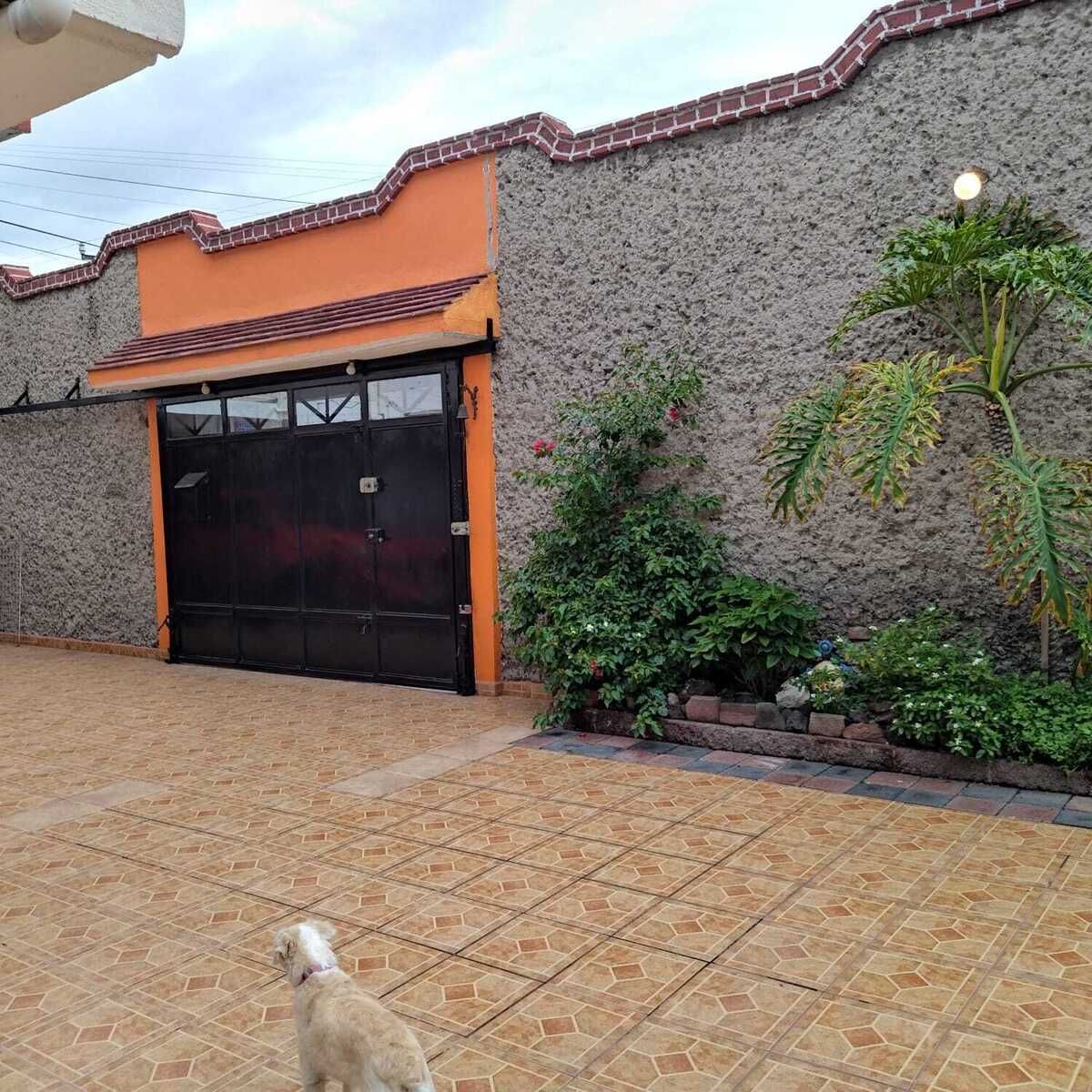 3 de 31