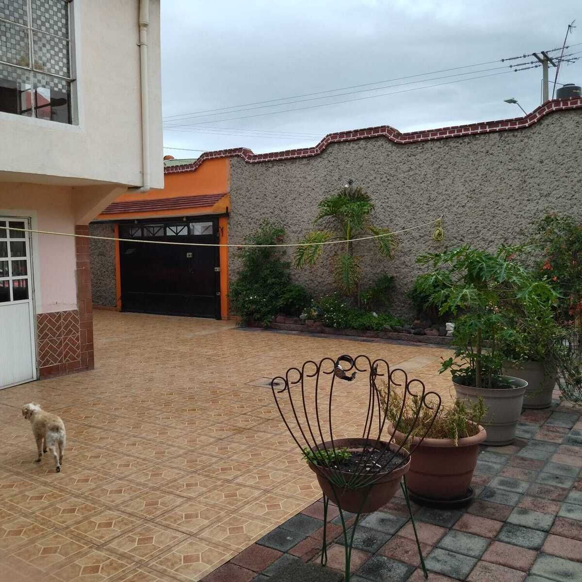 6 de 31