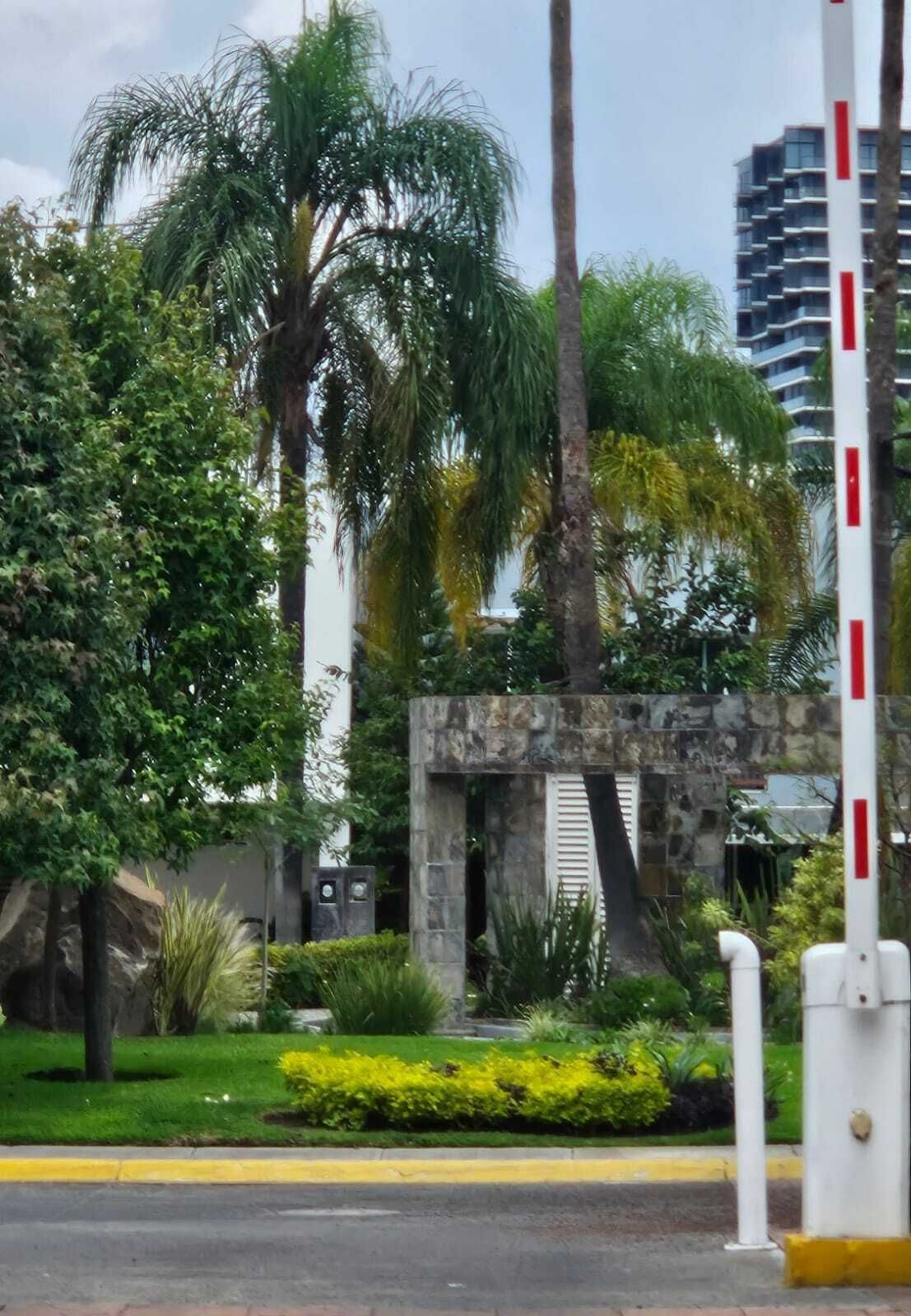 2 de 25