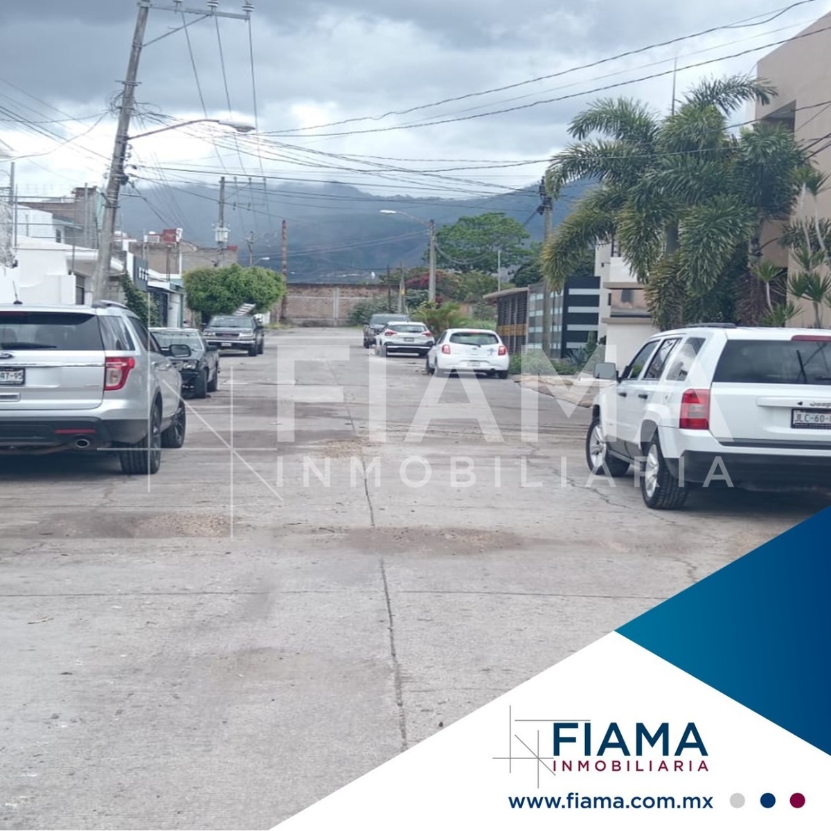 Imagen 3 de 5