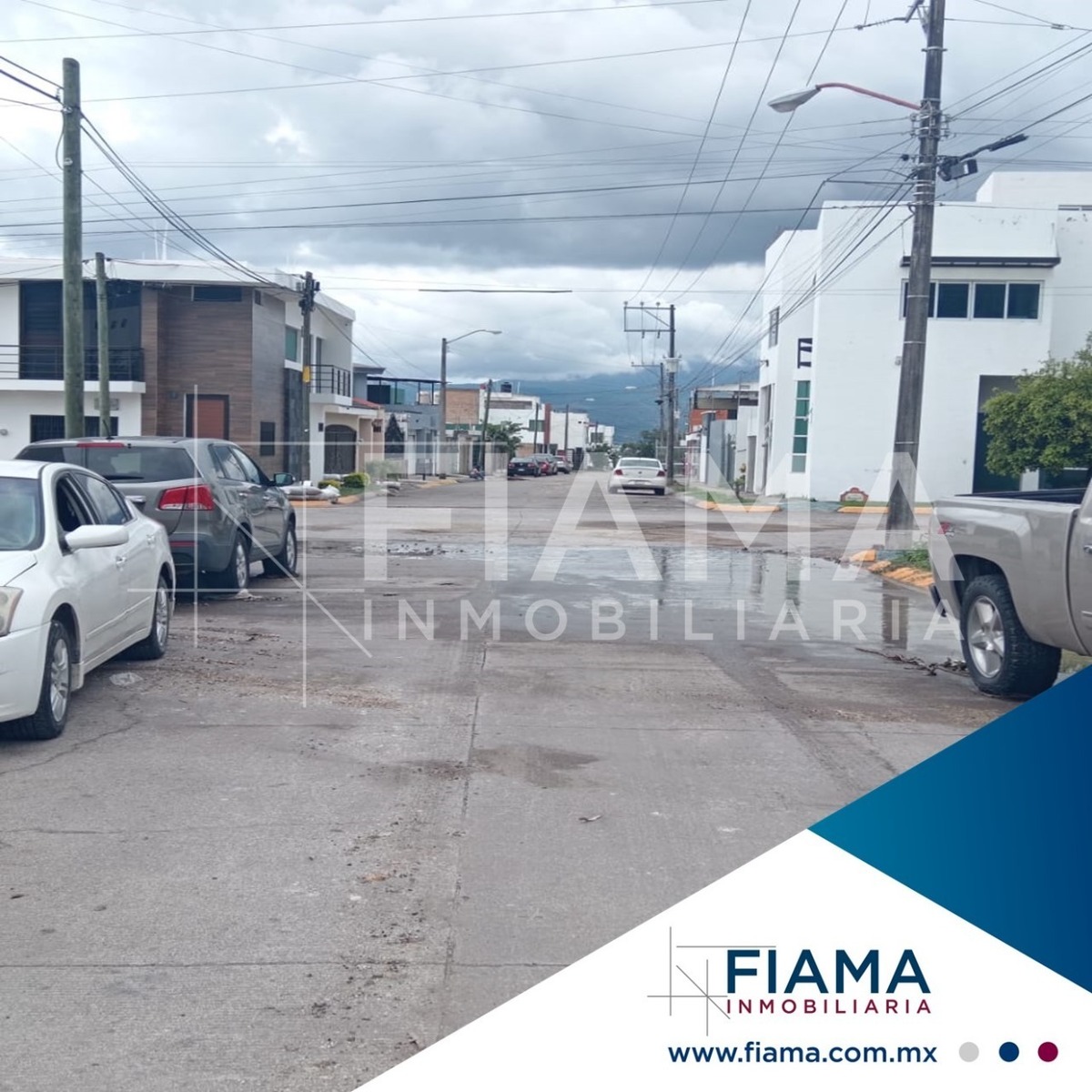 Imagen 5 de 5