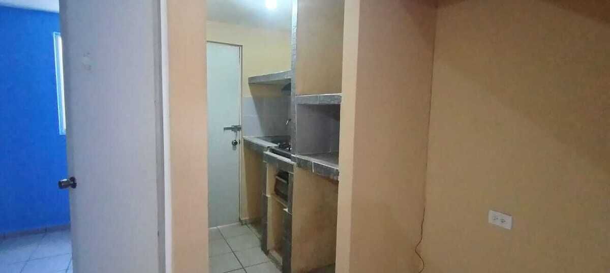 Imagen 3 de 8