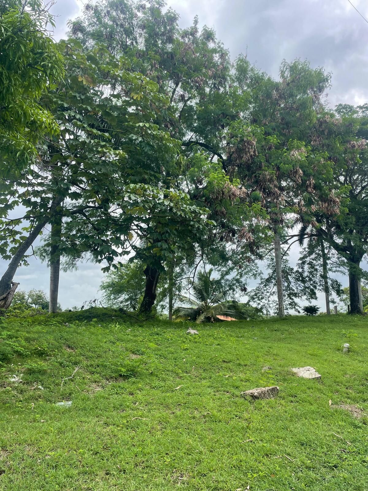 1 of 1