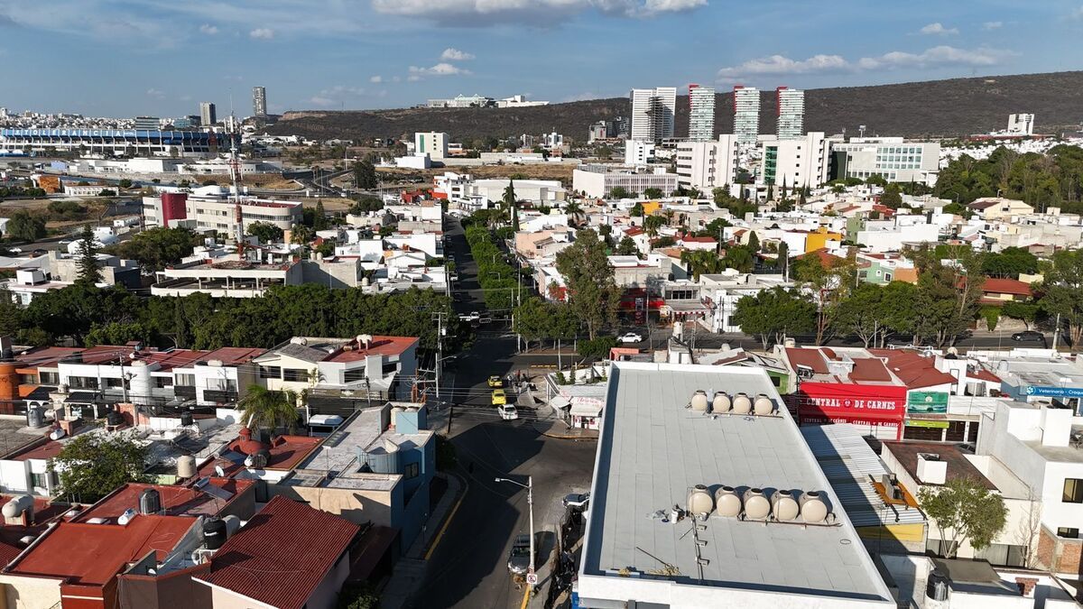 5 de 12