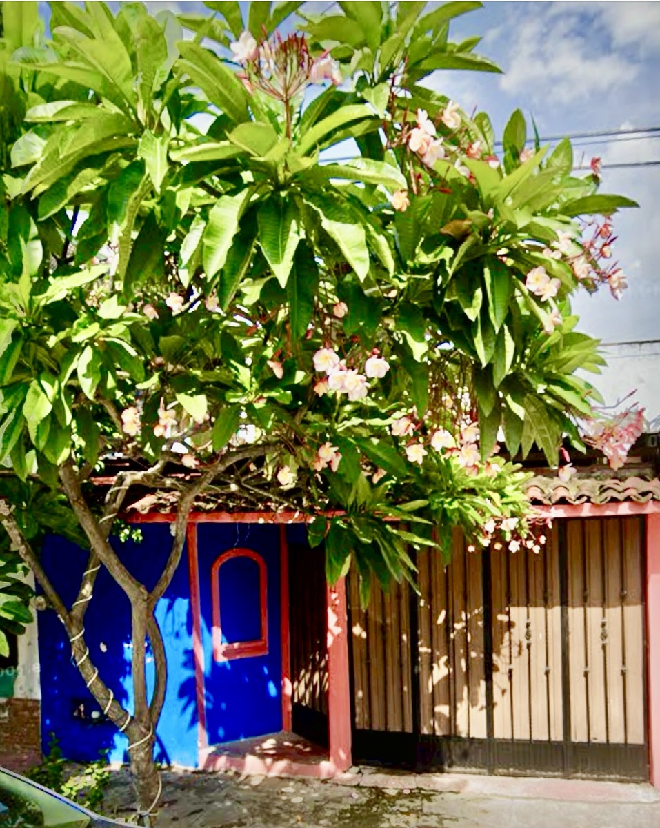 14 de 14