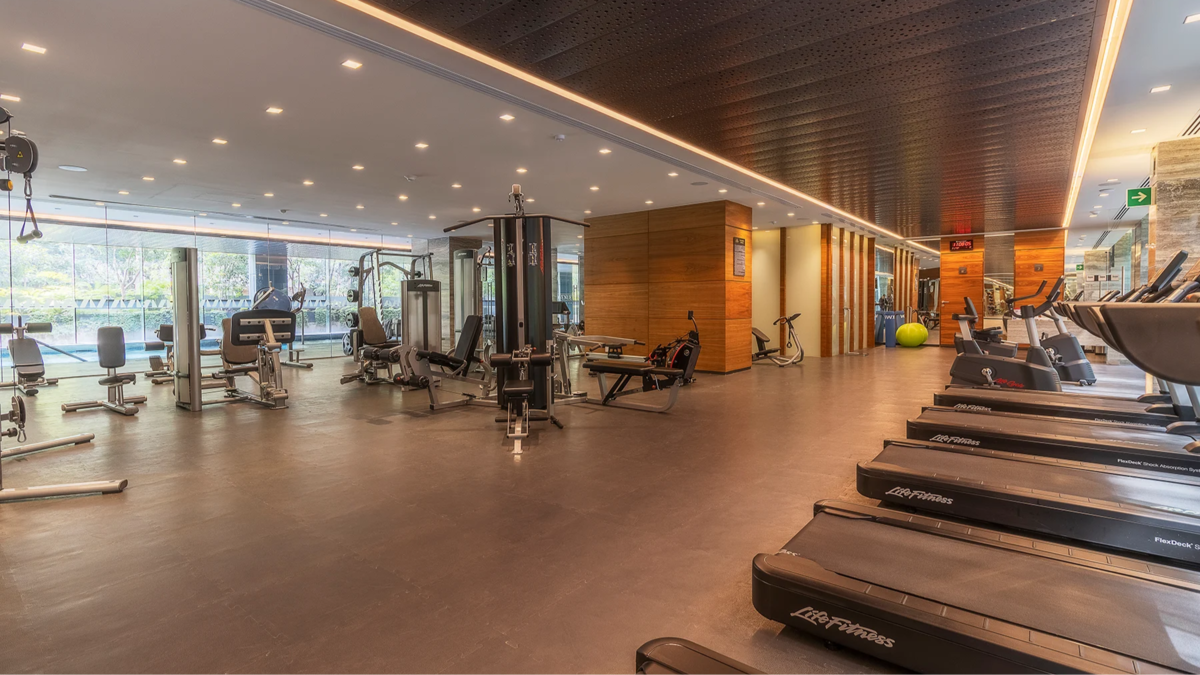 13 of 18: gimnasio