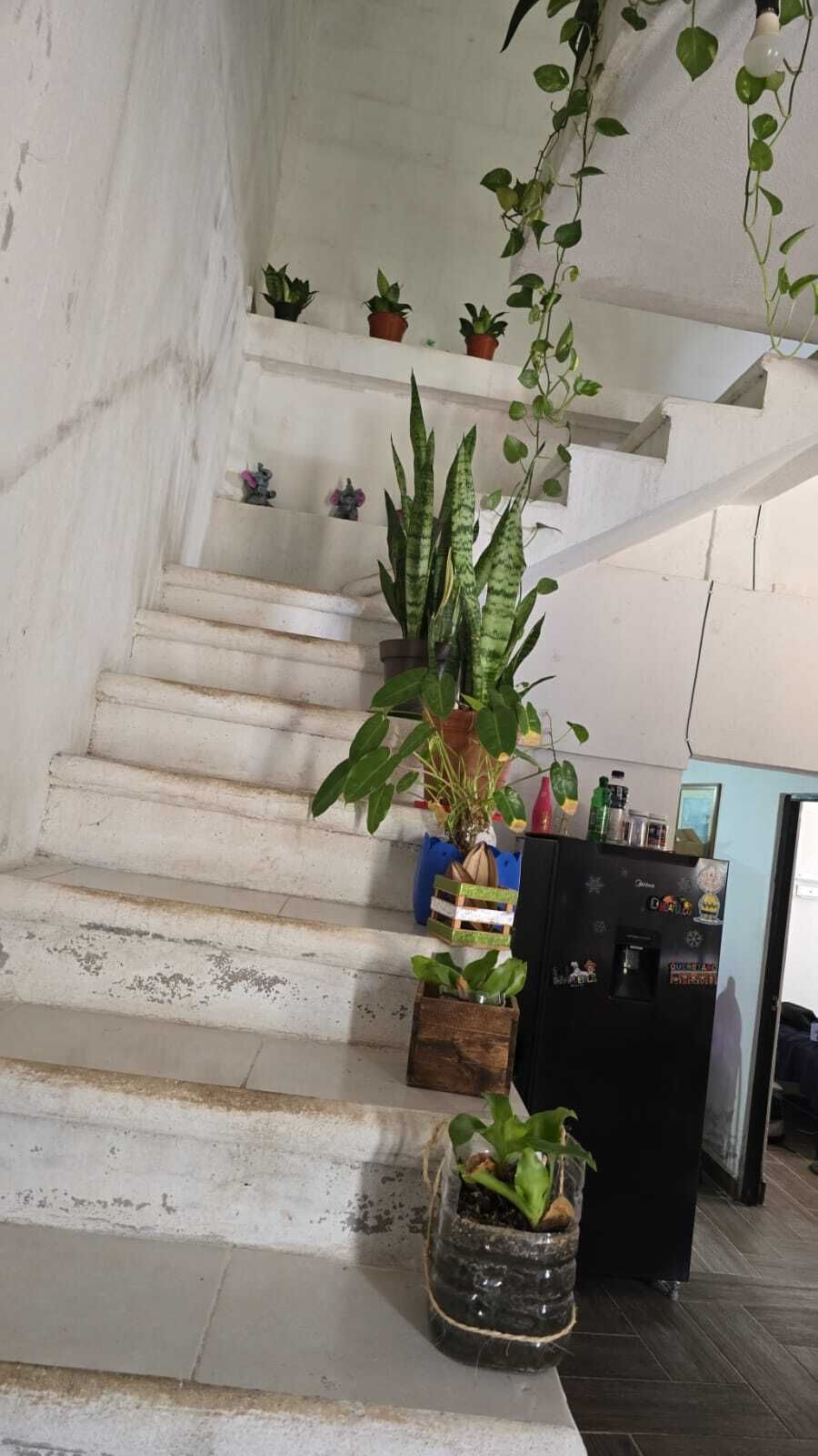 38 de 44