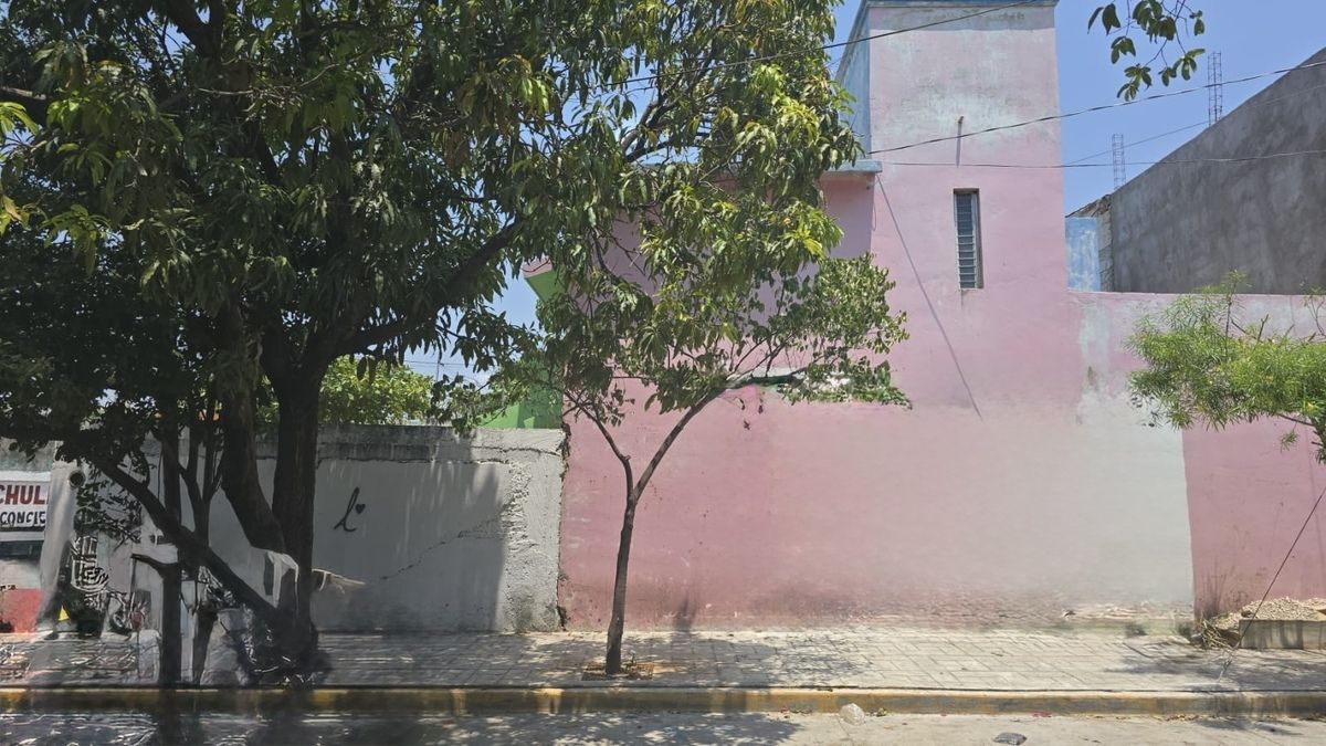 Imagen 7 de 10