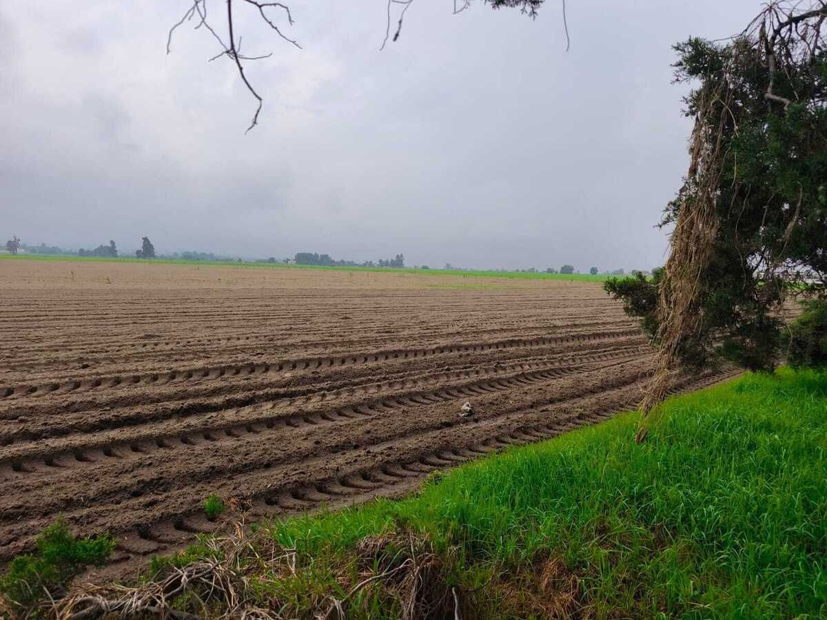 INCREÍBLE TERRENO SUPER UBICADO EN AMECAMECA - foto 1