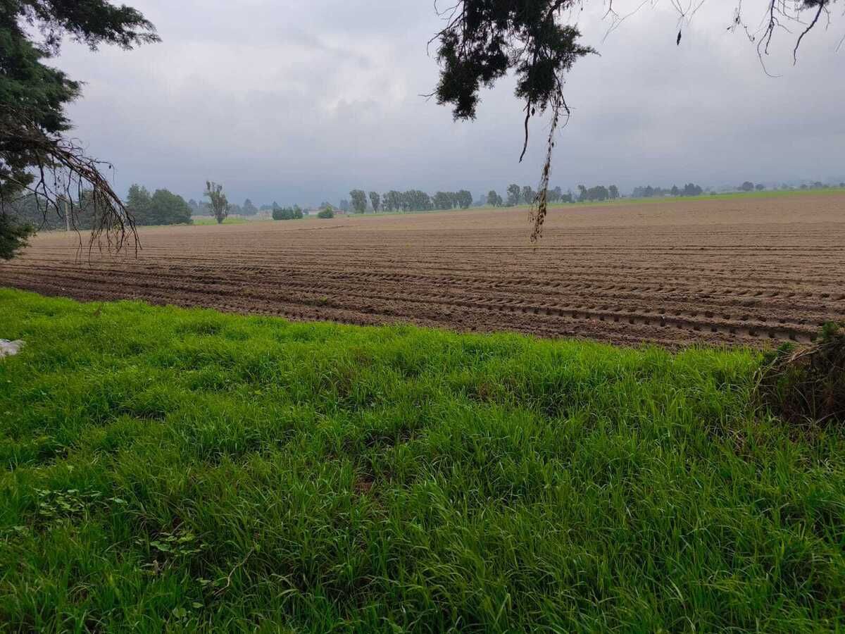 INCREÍBLE TERRENO SUPER UBICADO EN AMECAMECA - foto 4