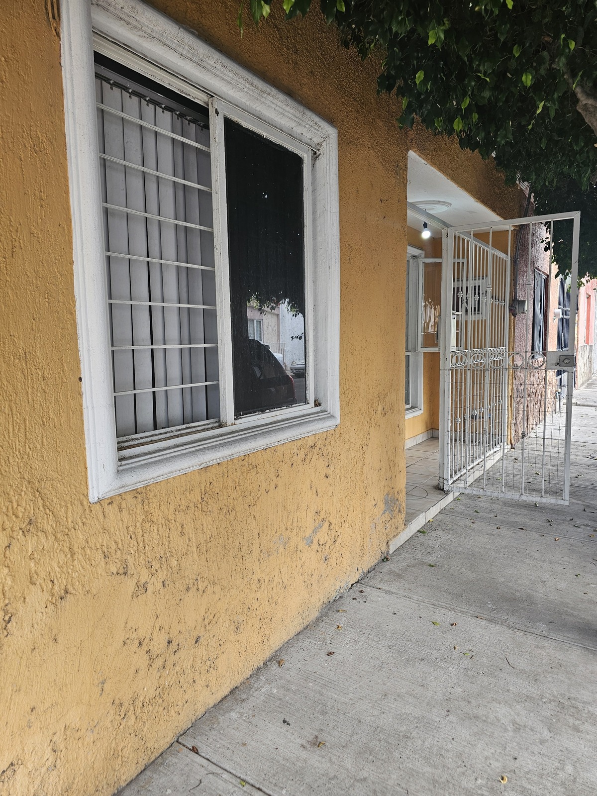2 de 19