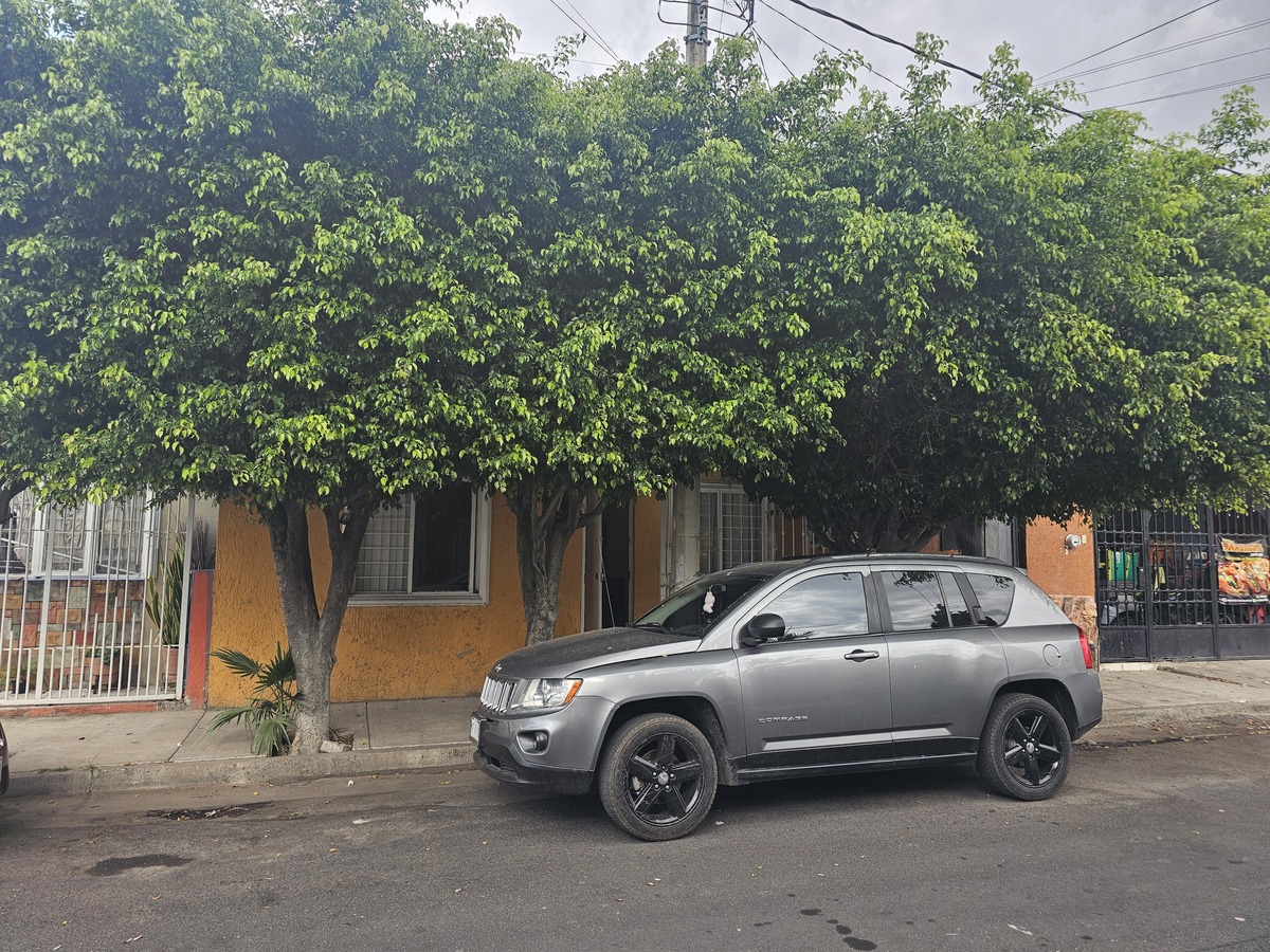 1 de 19
