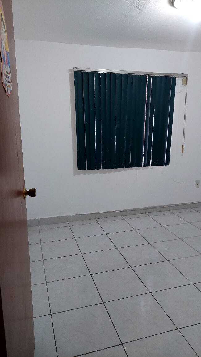 6 de 19