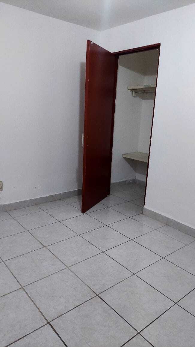 7 de 19