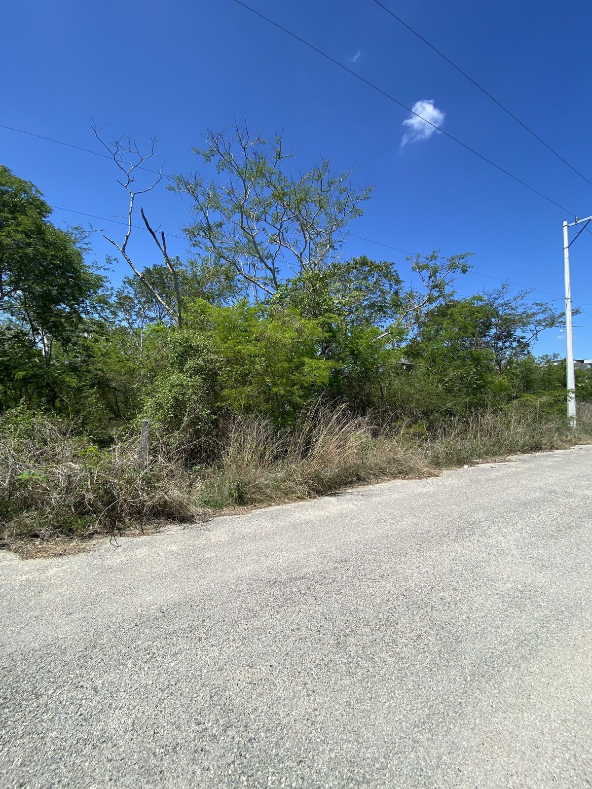 2 de 6