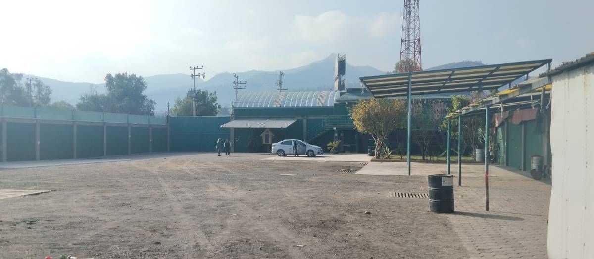 5 de 11
