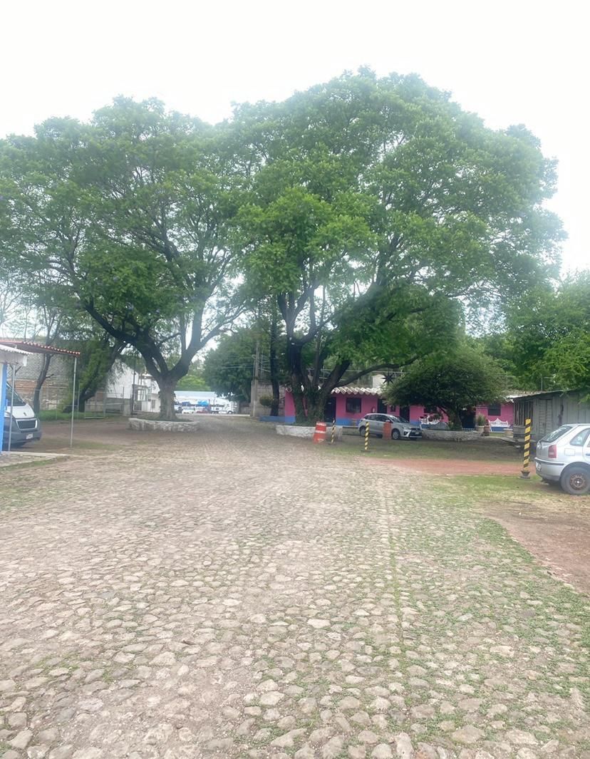 6 de 6