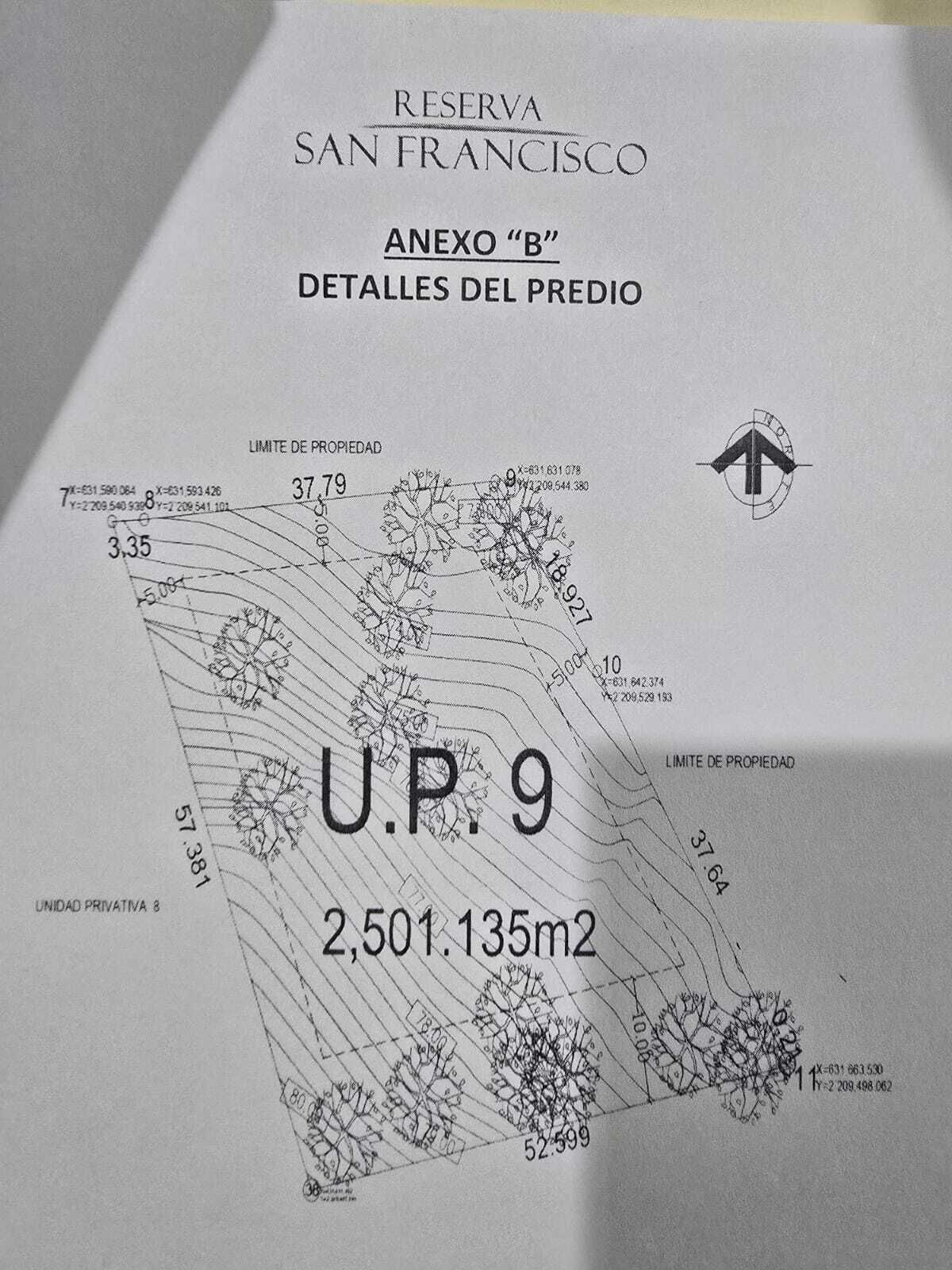 14 de 14