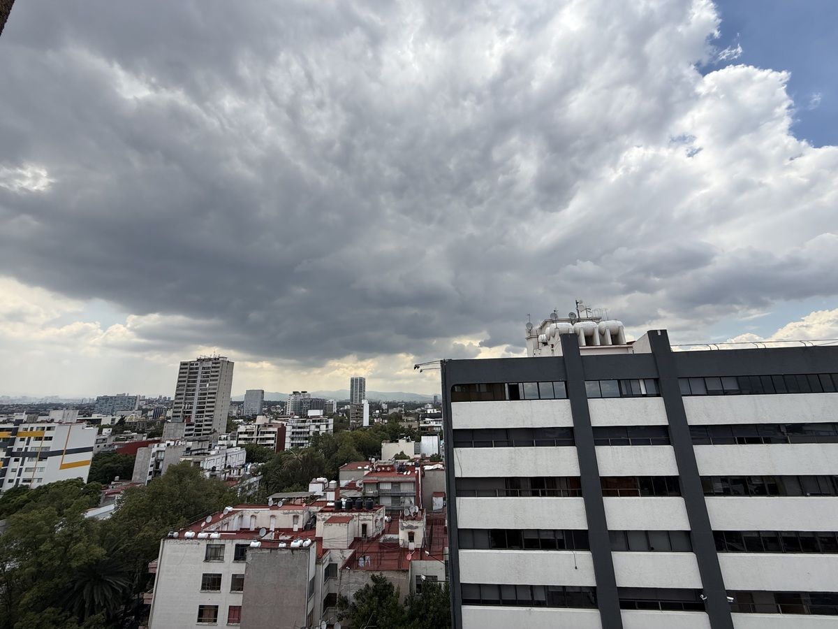 3 de 16