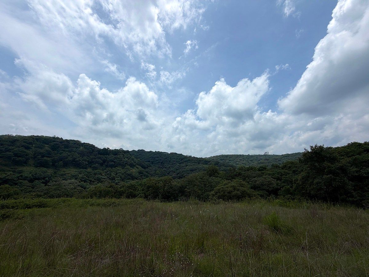 Terreno en Villa del Carbón, Villa del Carbón, foto 17 de 22