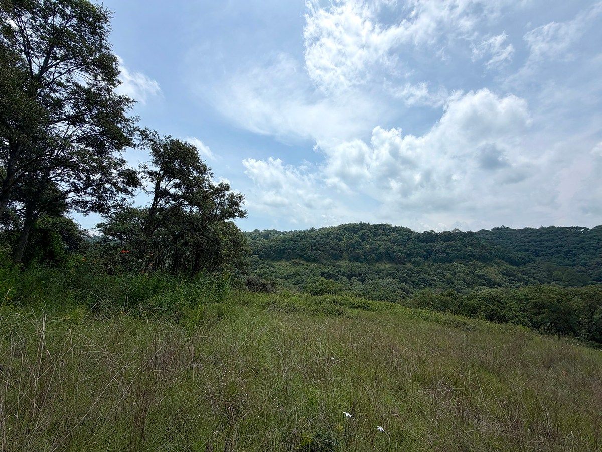 Terreno en Villa del Carbón, Villa del Carbón, foto 3 de 22