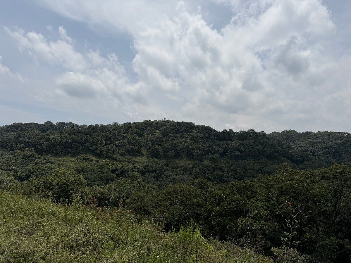 Terreno en Villa del Carbón, Villa del Carbón, foto 4 de 22