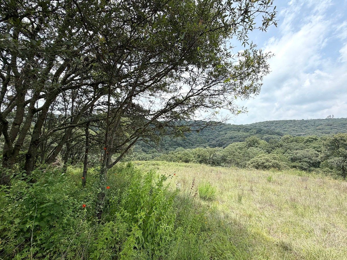 Terreno en Villa del Carbón, Villa del Carbón, foto 21 de 22