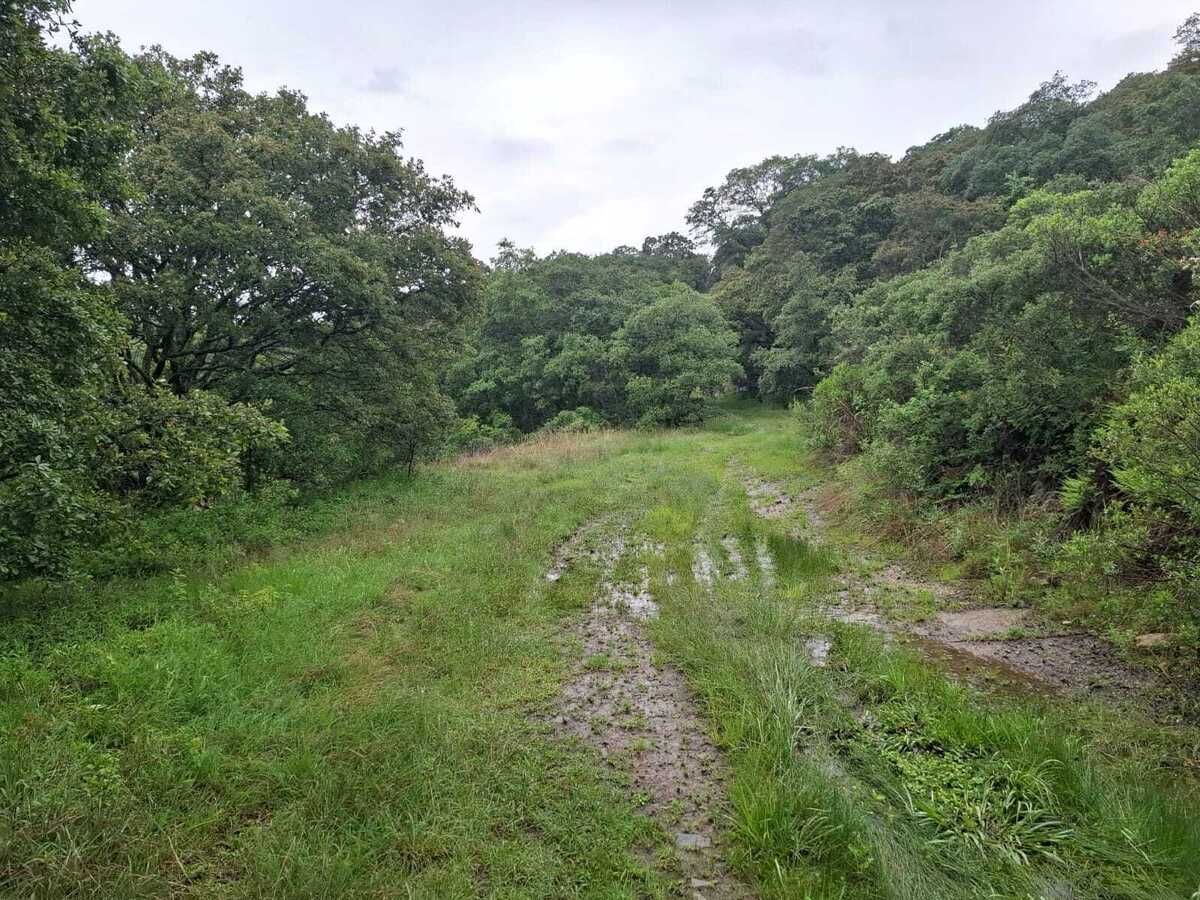Terreno en Villa del Carbón, Villa del Carbón, foto 12 de 22