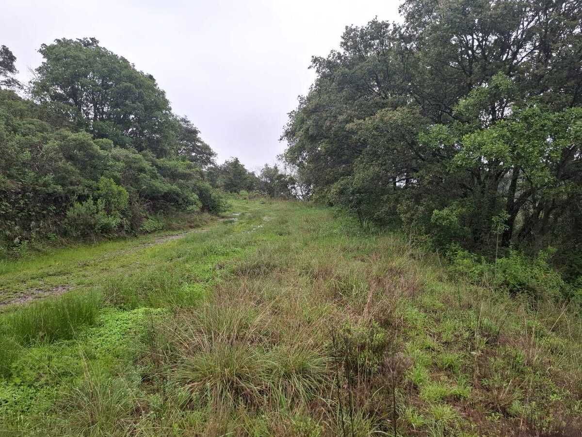 Terreno en Villa del Carbón, Villa del Carbón, foto 11 de 22