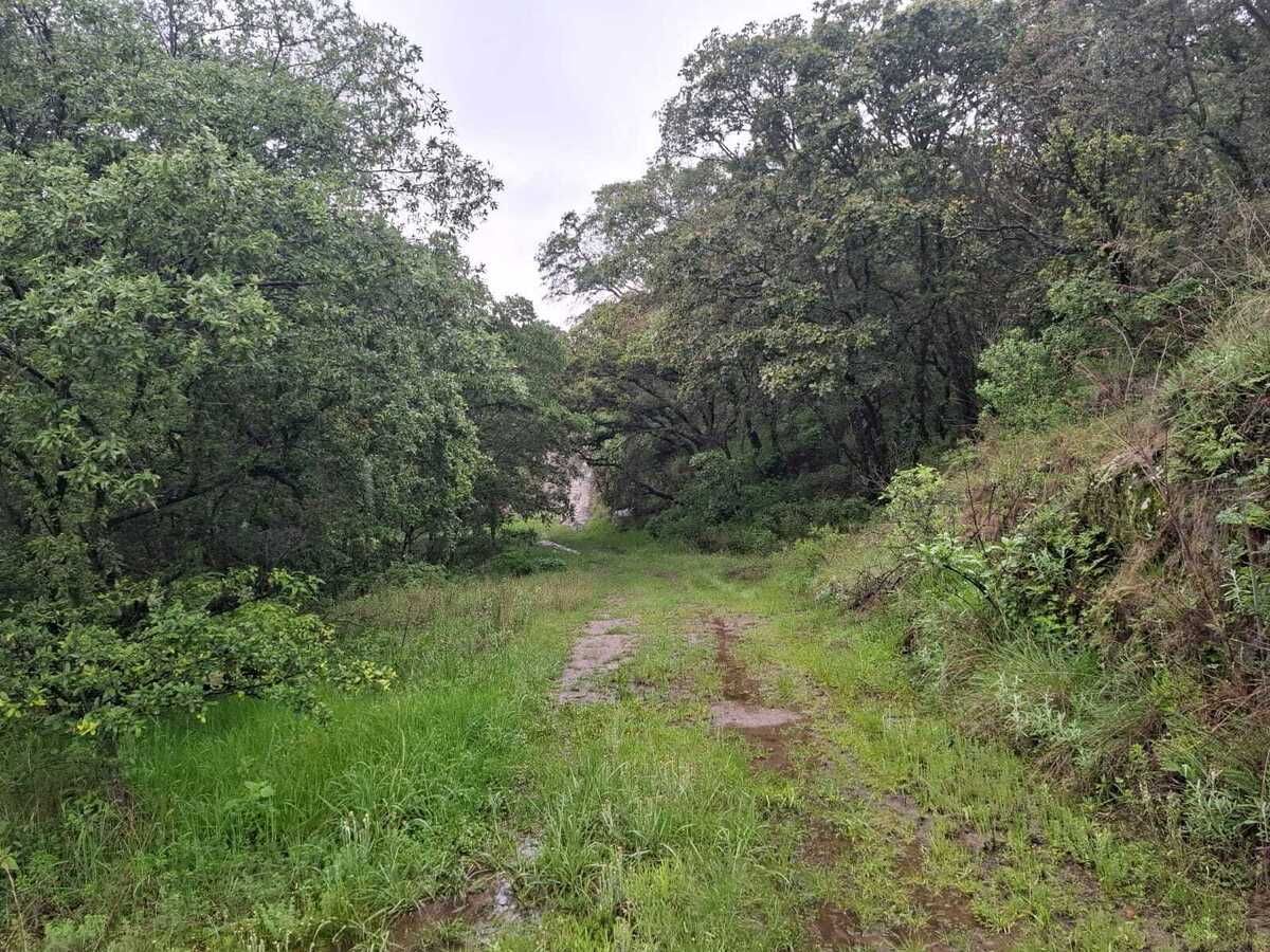 Terreno en Villa del Carbón, Villa del Carbón, foto 13 de 22