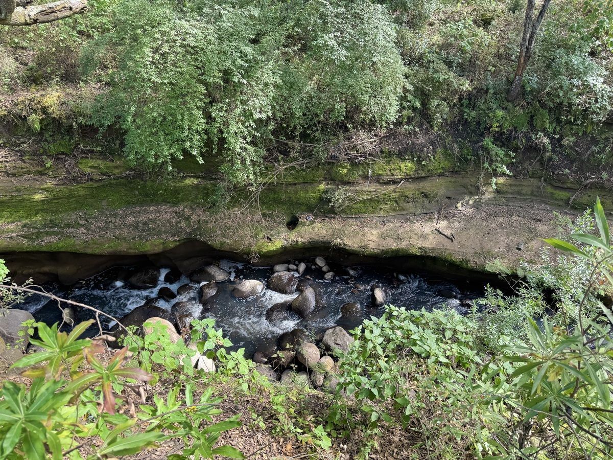 Terreno en Villa del Carbón, Villa del Carbón, foto 10 de 22