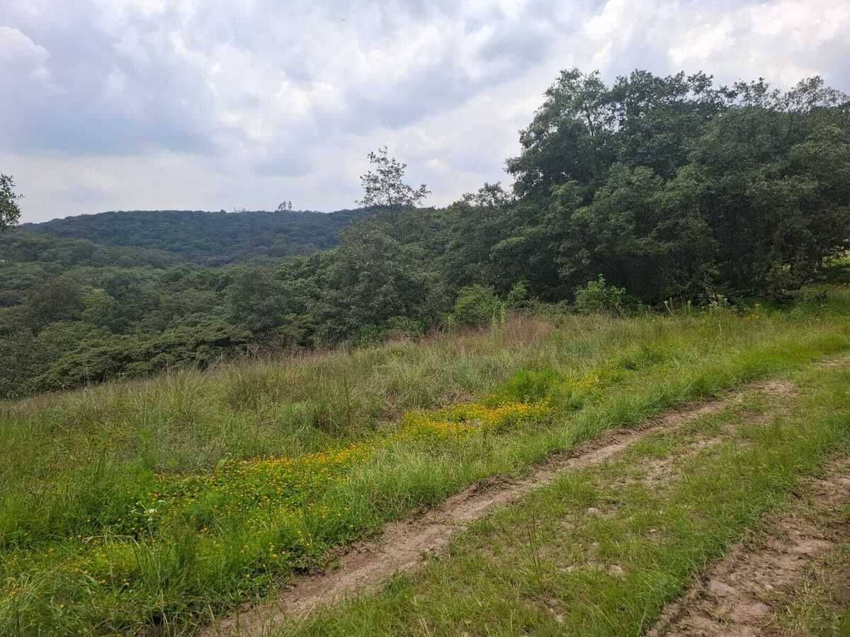 Terreno en Villa del Carbón, Villa del Carbón, foto 2 de 22
