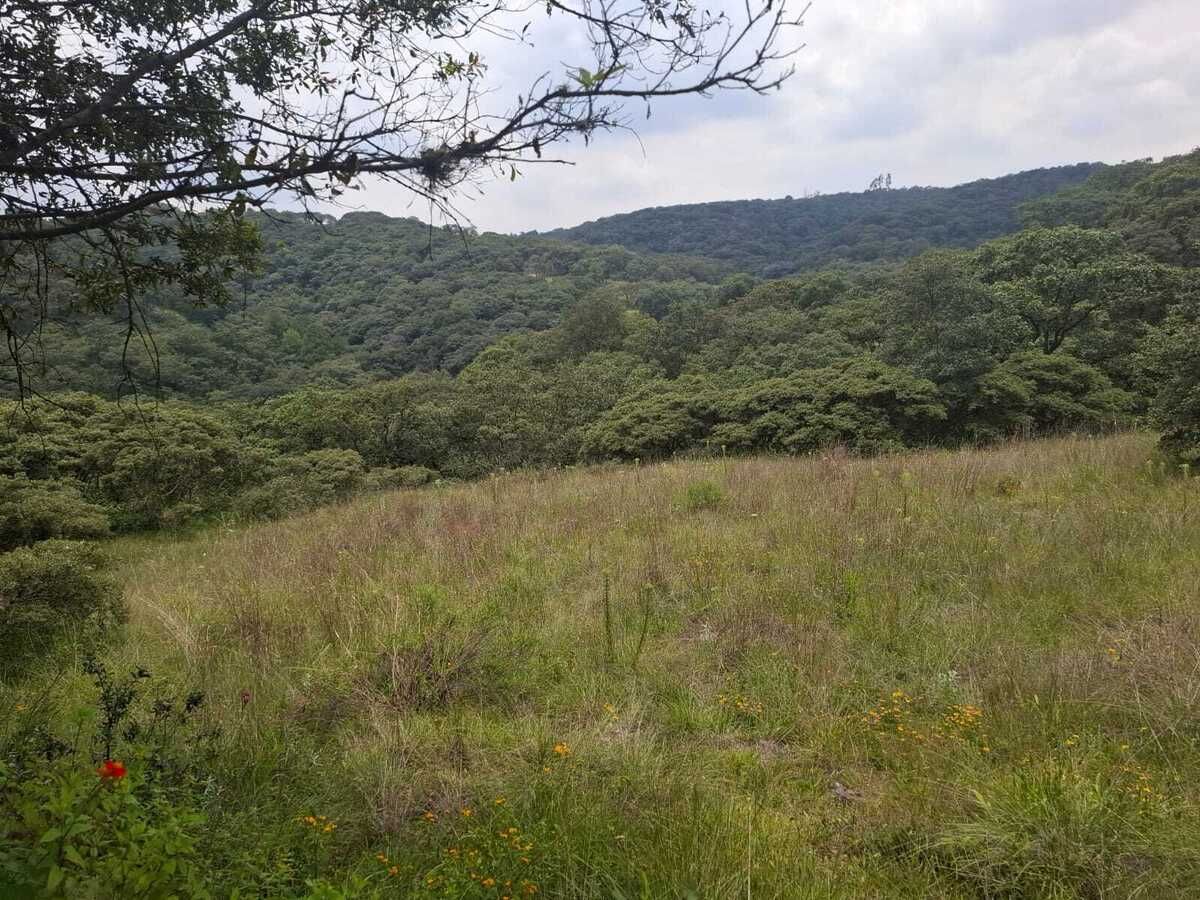 Terreno en Villa del Carbón, Villa del Carbón, foto 14 de 22