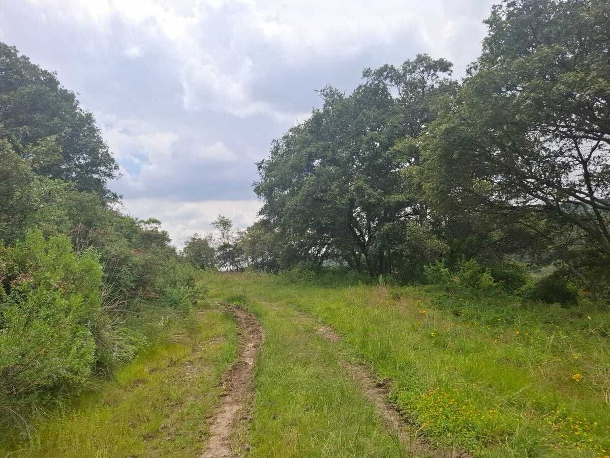 Terreno en Villa del Carbón, Villa del Carbón, foto 15 de 22