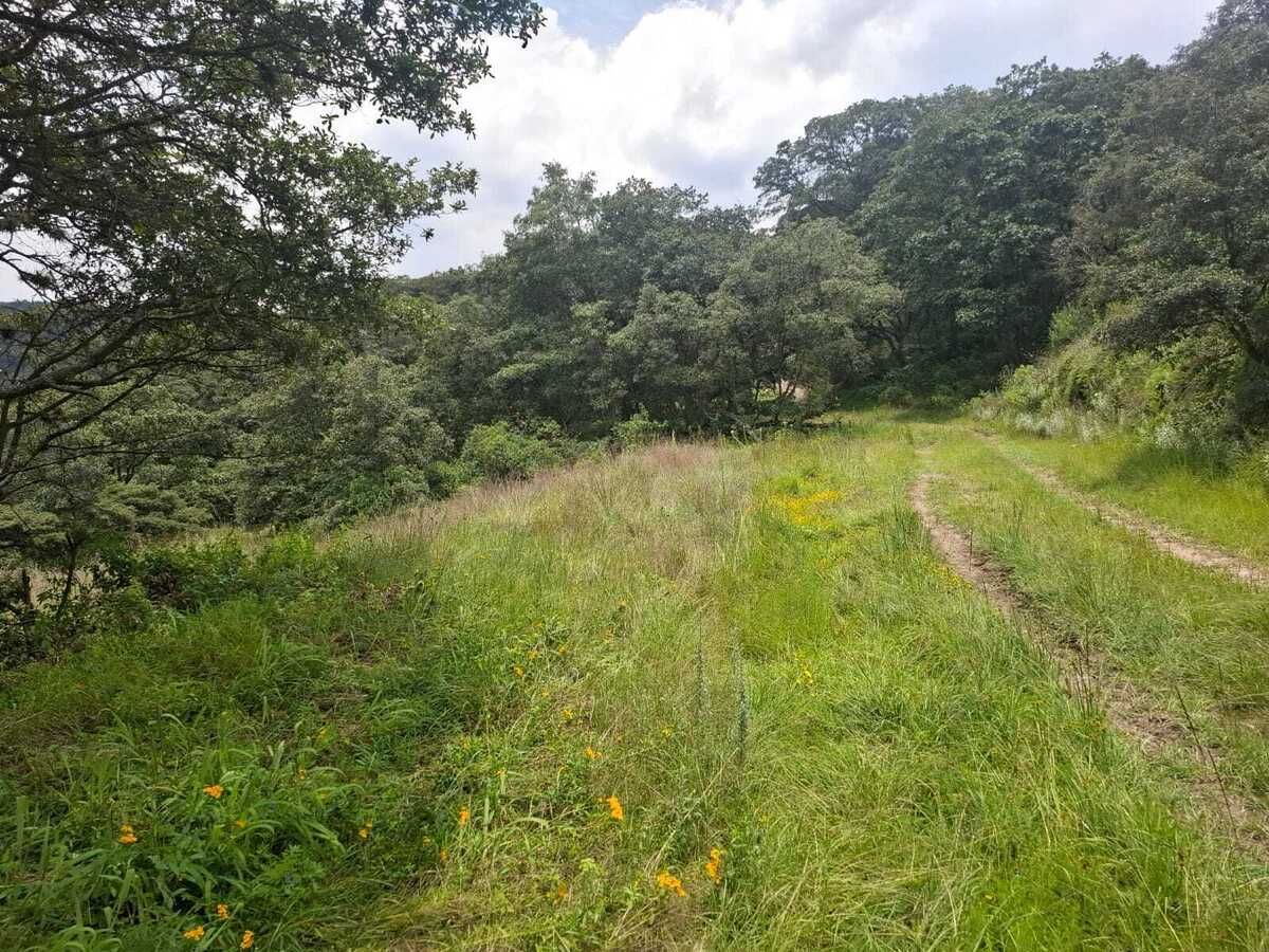 Terreno en Villa del Carbón, Villa del Carbón, foto 7 de 22