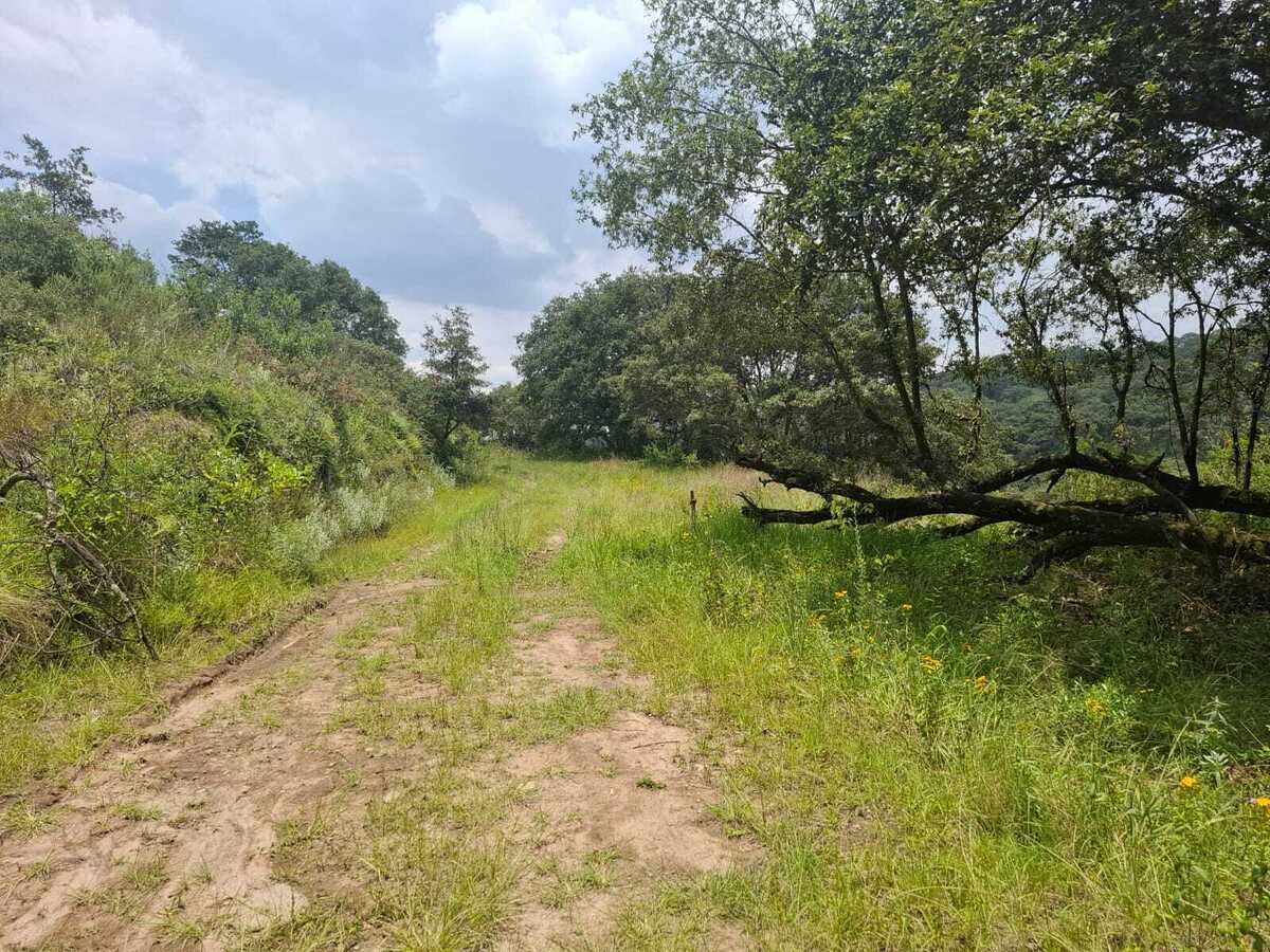 Terreno en Villa del Carbón, Villa del Carbón, foto 6 de 22