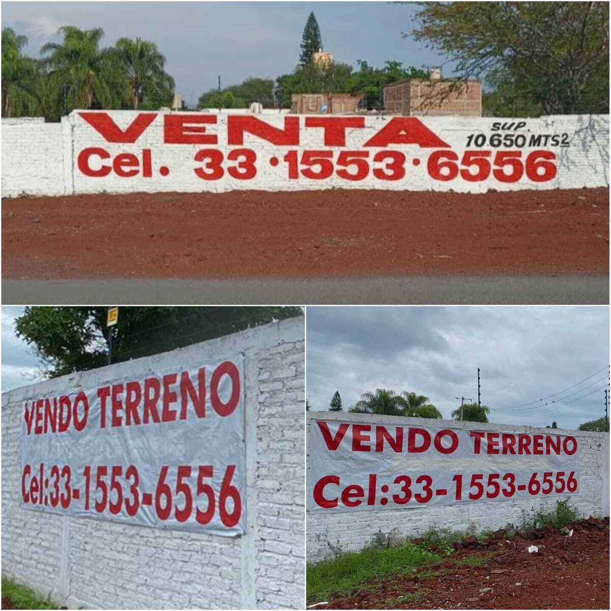 1 de 11