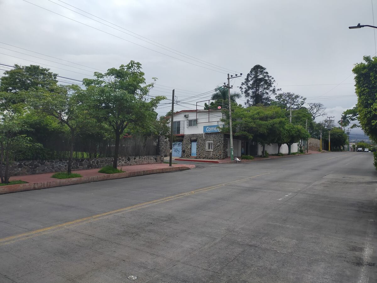 2 de 38