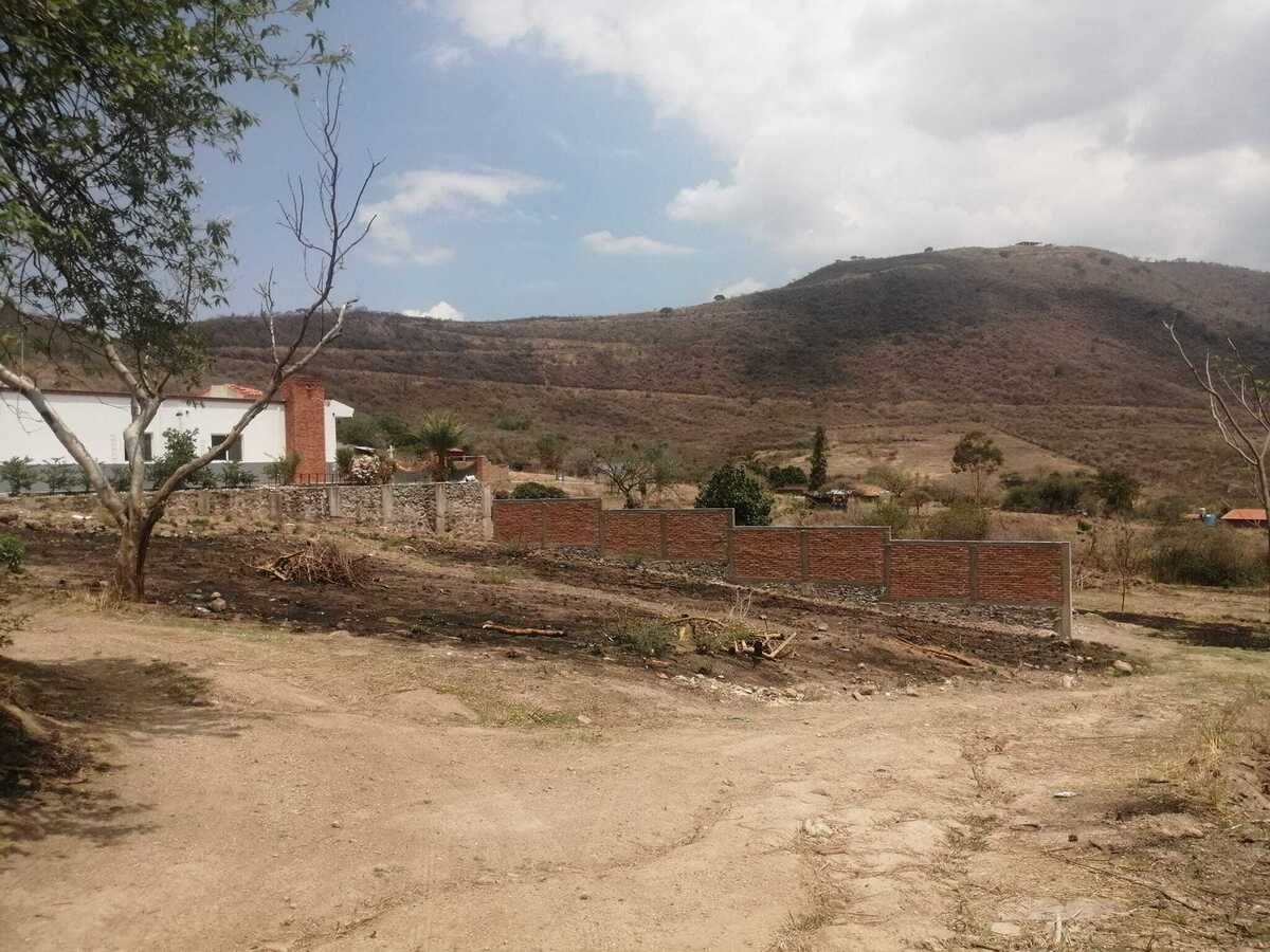 3 de 17