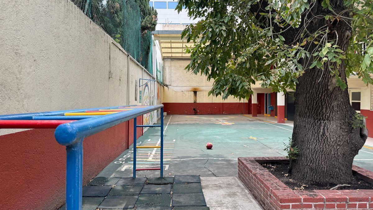 6 de 21