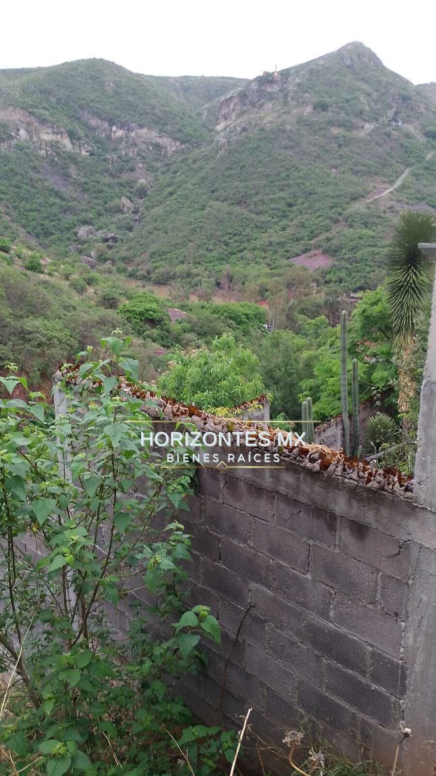 6 de 20