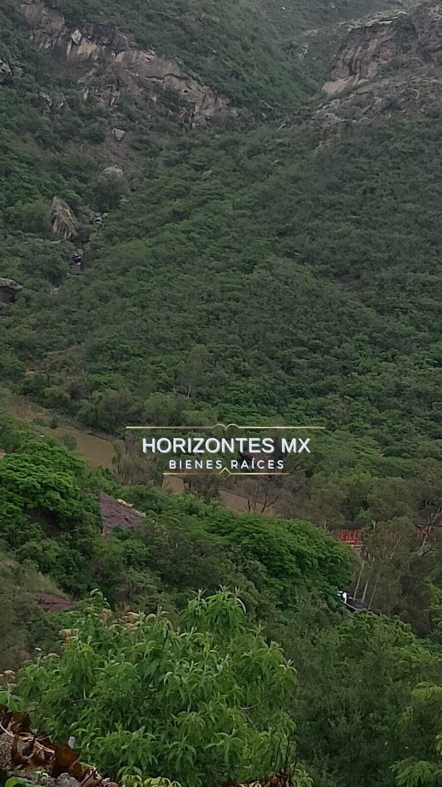 7 de 20