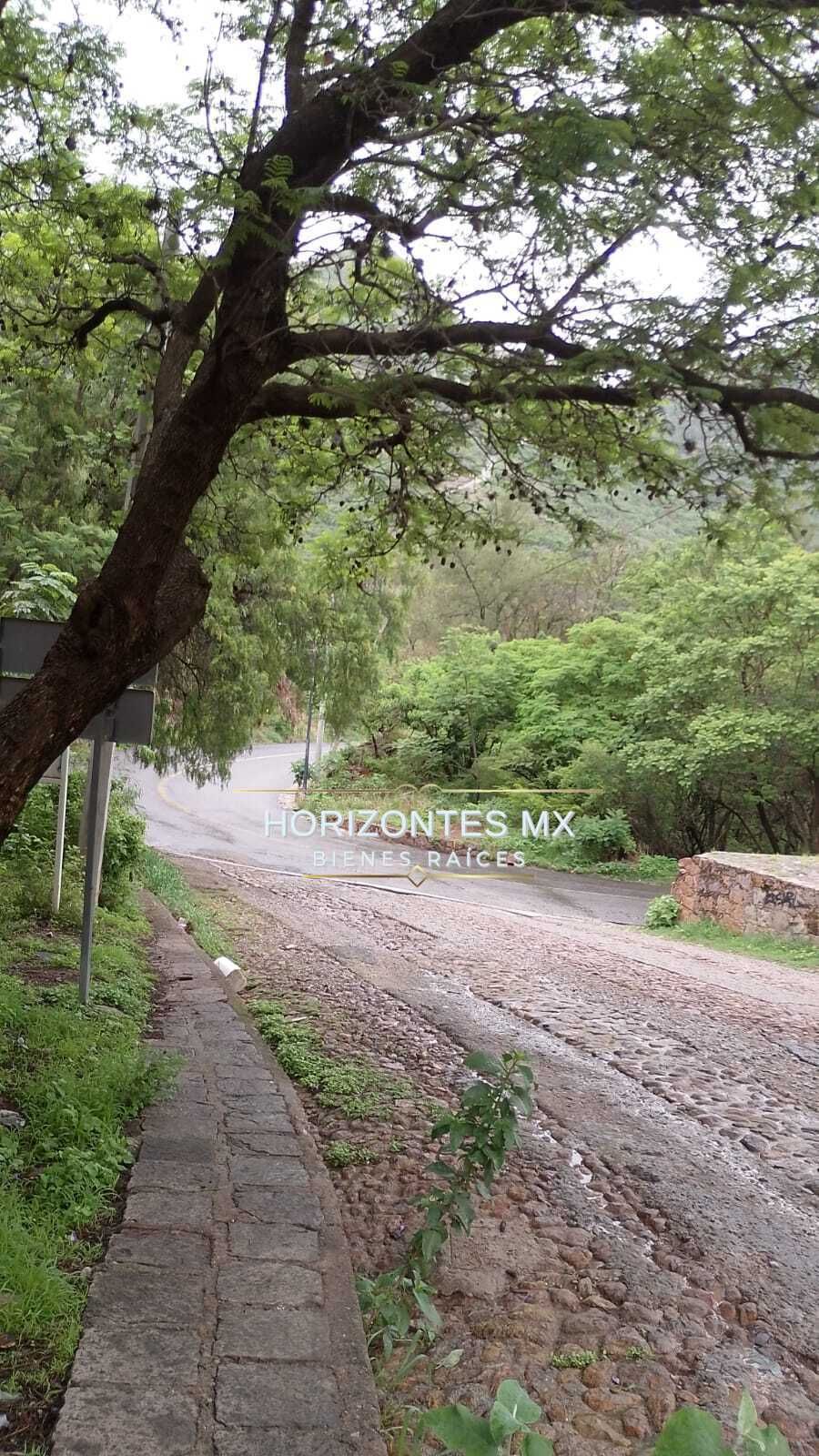 8 de 15