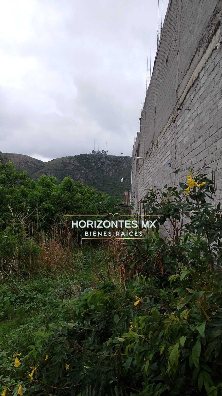 11 de 20