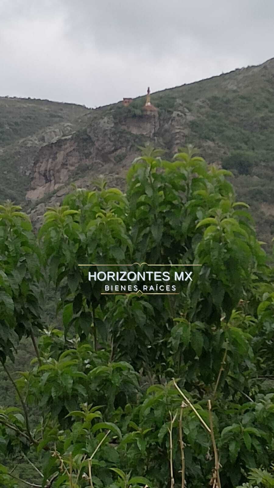 12 de 20