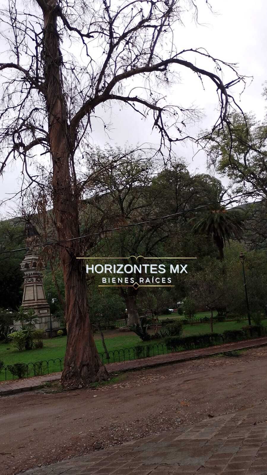 15 de 15